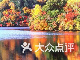 凯迪拉克LB改色膜超亮金属钨钢，非常有绅士风度