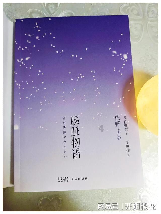 卡通小车找不同