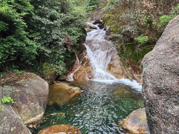 植物大战僵尸19